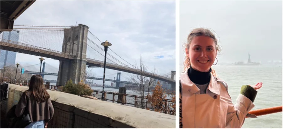 Views of Brooklyn Bridge & Statue of Liberty, NYC
